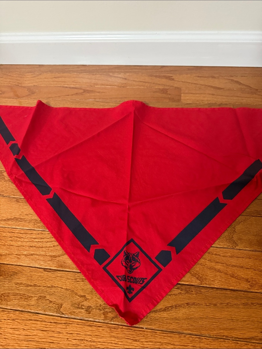 Cub Scouts Red & Navy Cub Scout Hat with Red Neckerchief and Pin - Picture 4 of 5